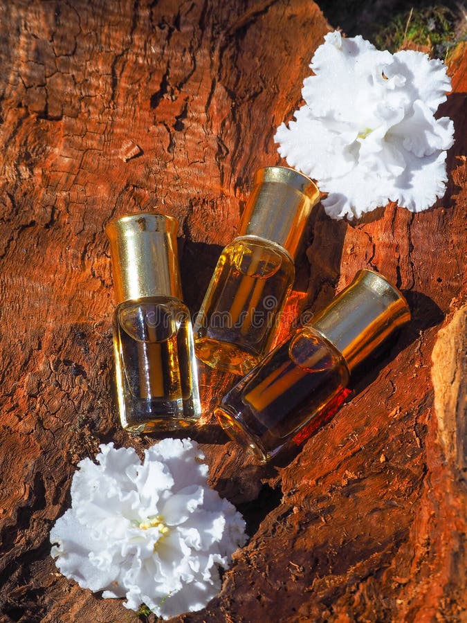 Amber & Musk
